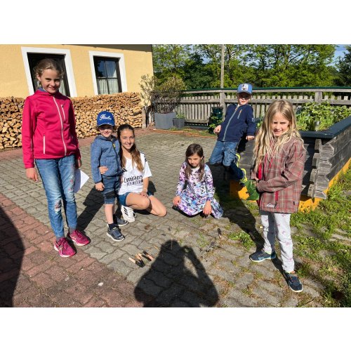 Bild 8 zum Block 5959