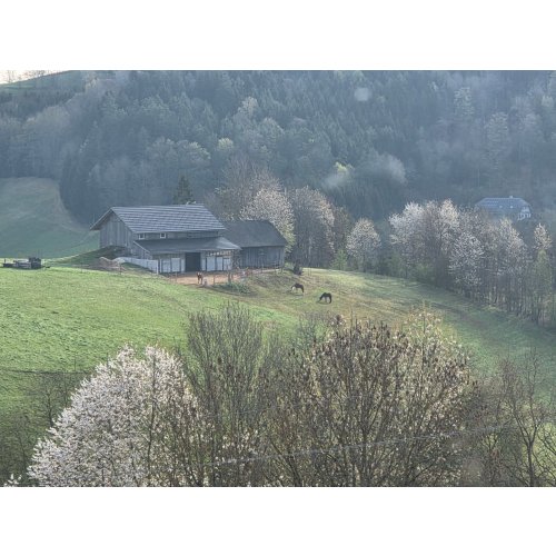 Bild 11 zum Block 6255
